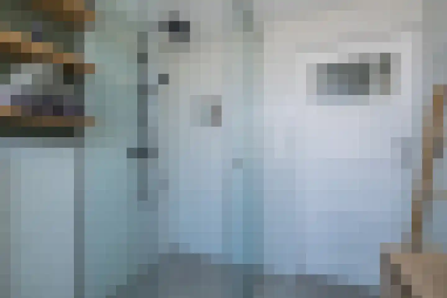 Berkenlaan 6 Sassenheim thumbnail 39