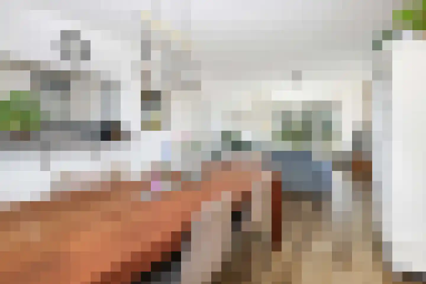 Berkenlaan 64 C Hoogland thumbnail 10