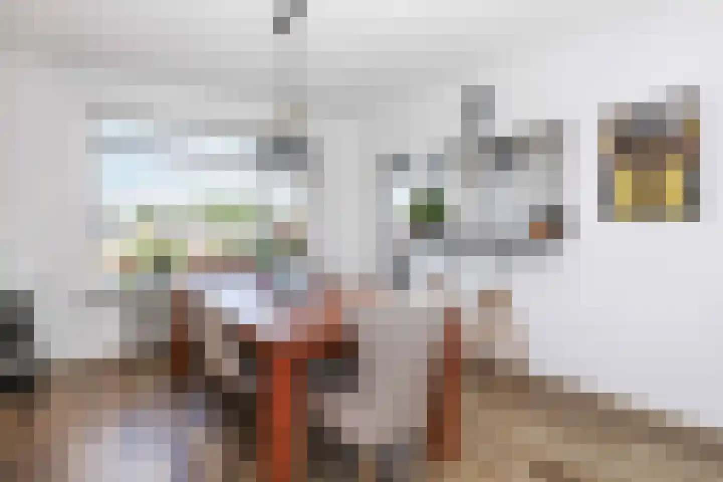 Berkenlaan 64 C Hoogland thumbnail 12