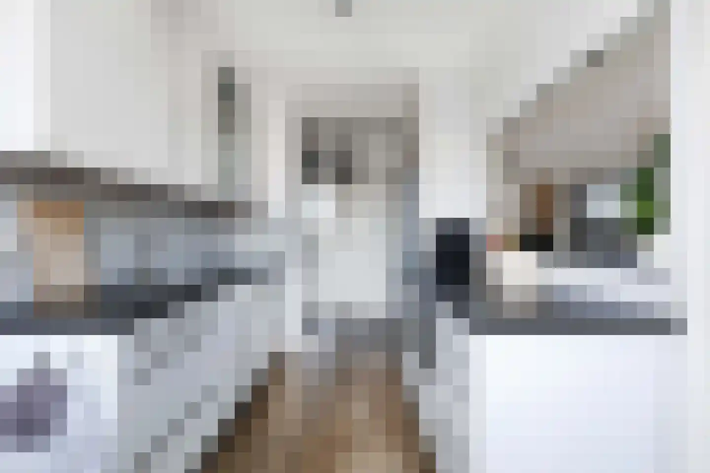 Berkenlaan 64 C Hoogland thumbnail 13