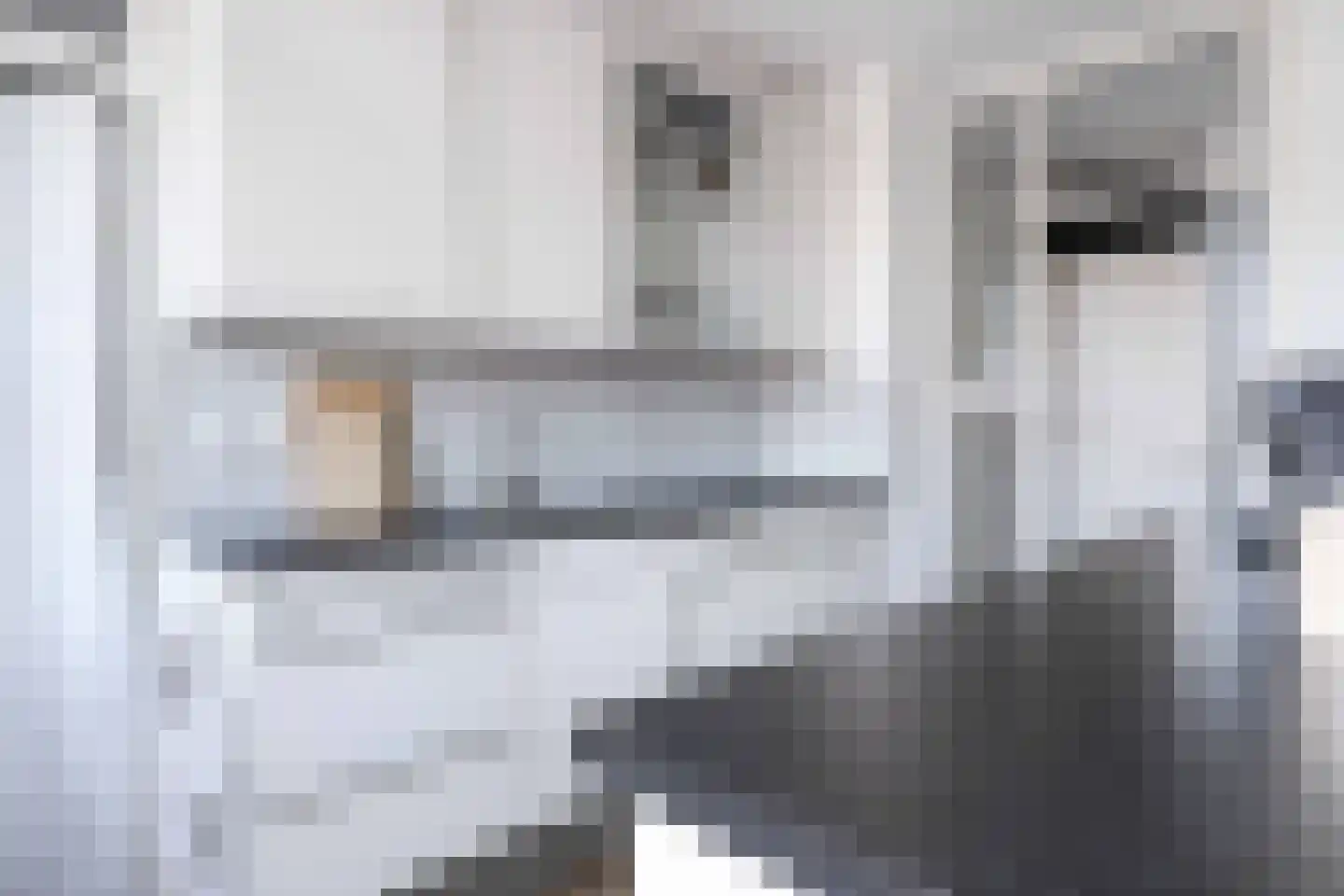 Berkenlaan 64 C Hoogland thumbnail 14