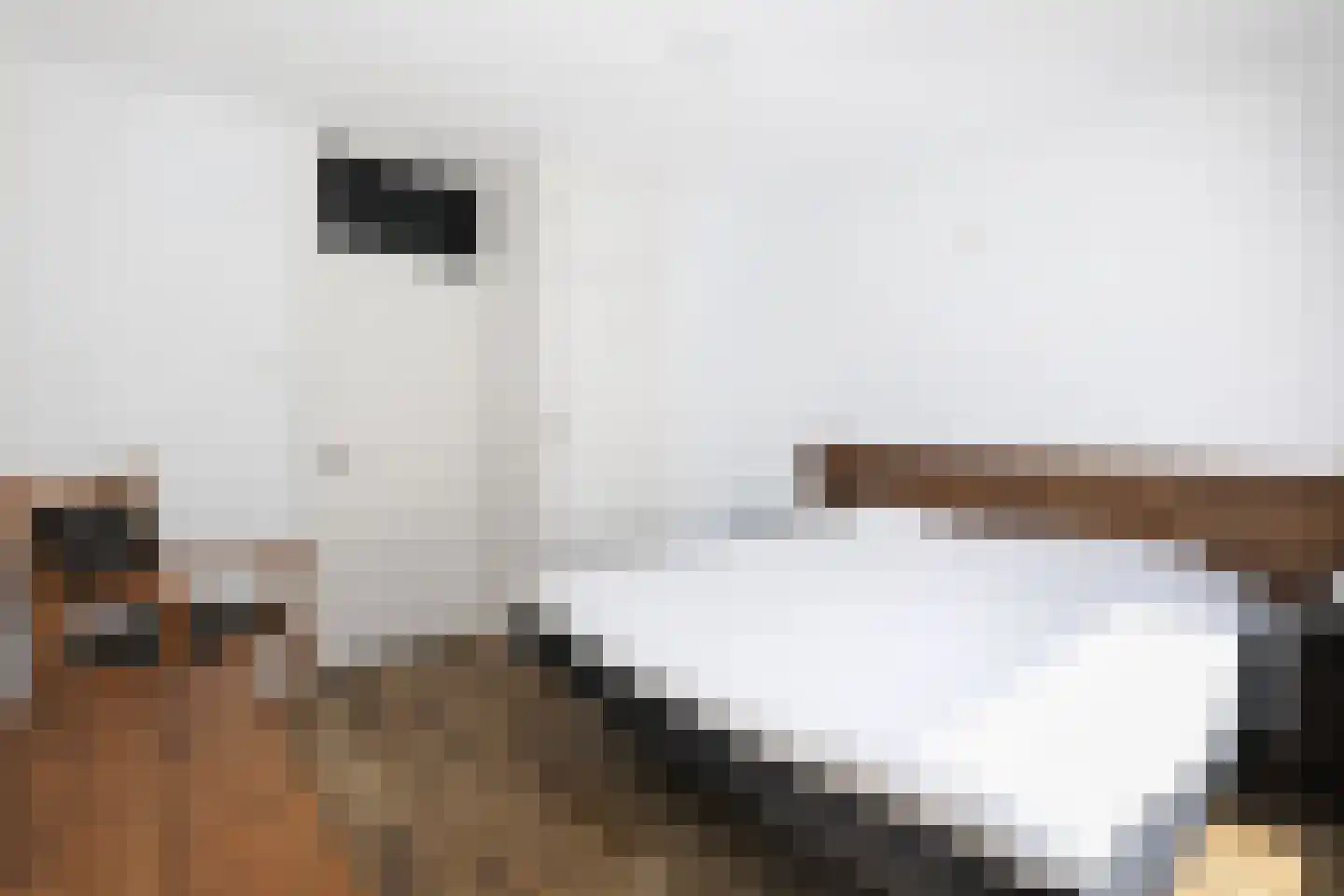 Berkenlaan 64 C Hoogland thumbnail 20