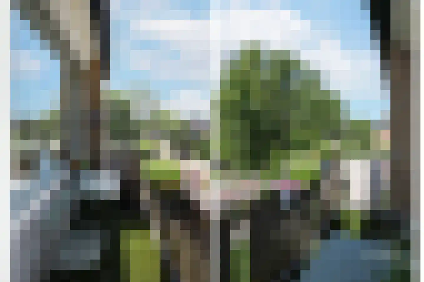 Berkenlaan 64 C Hoogland thumbnail 4
