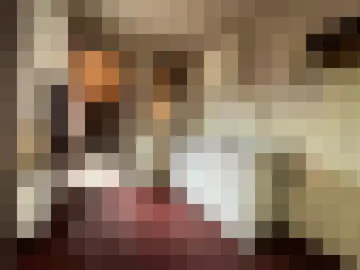 Berkenlaan 7 Kalenberg thumbnail 13