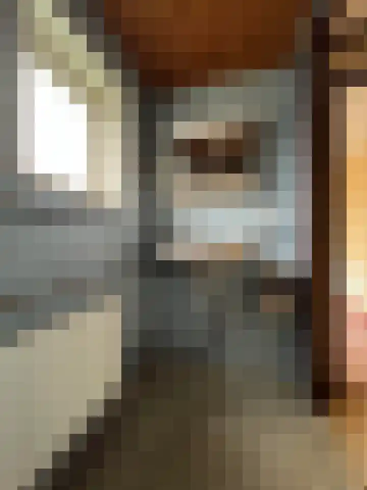 Berkenlaan 7 Kalenberg thumbnail 33