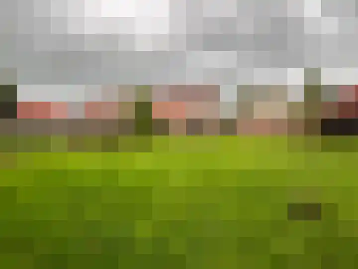 Berkenlaan 7 Kalenberg thumbnail 41