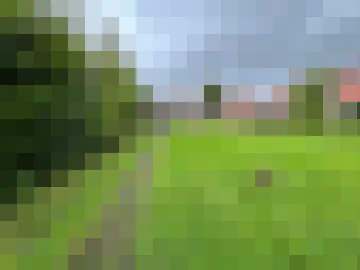 Berkenlaan 7 Kalenberg thumbnail 44