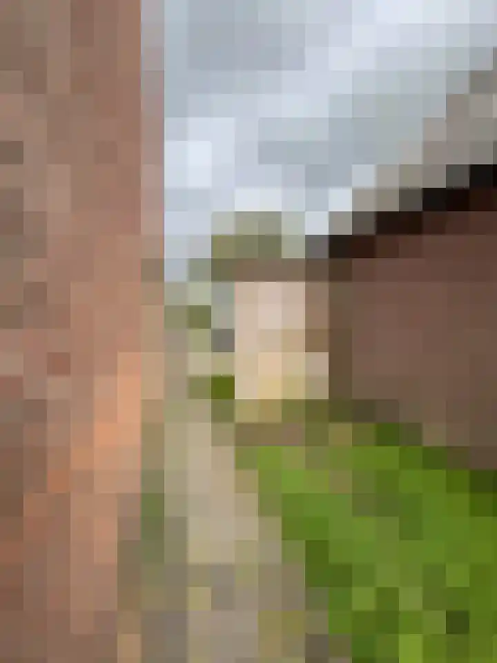 Berkenlaan 7 Kalenberg thumbnail 49
