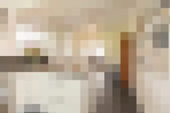 Berkenlaan 7 Katwijk thumbnail 17