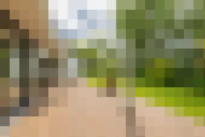 Berkenlaan 7 Katwijk thumbnail 38