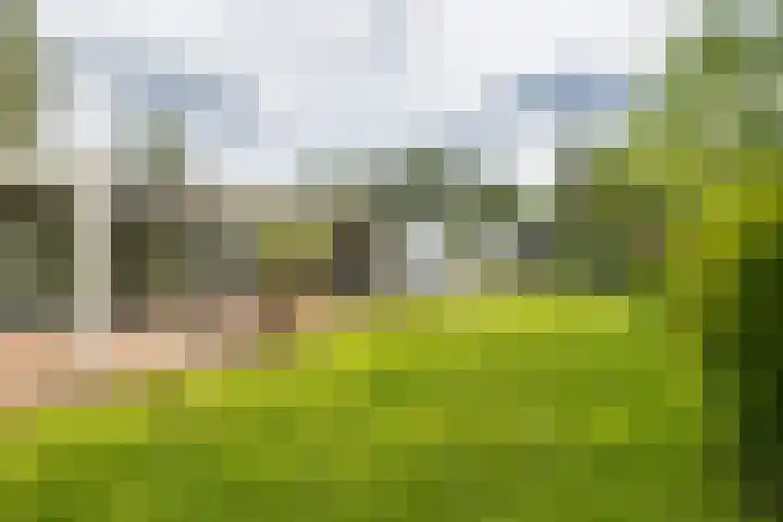 Berkenlaan 7 Katwijk thumbnail 39