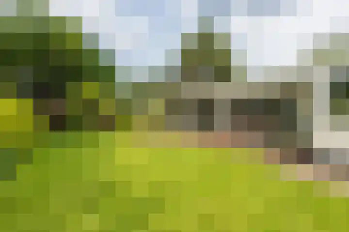 Berkenlaan 7 Katwijk thumbnail 41