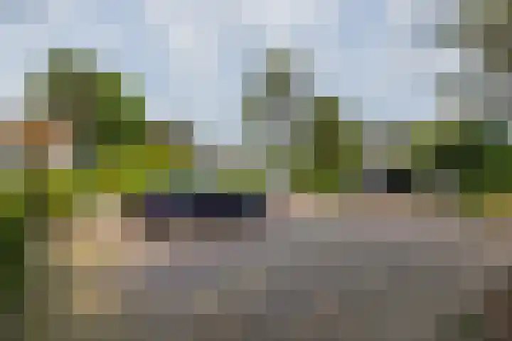 Berkenlaan 7 Katwijk thumbnail 43