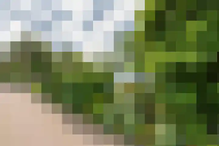 Berkenlaan 7 Katwijk thumbnail 44