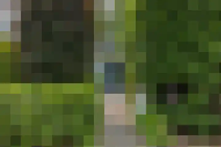 Berkenlaan 7 Katwijk thumbnail 5