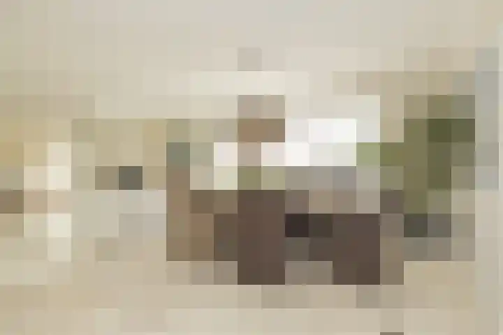 Berkenlaan 7 Katwijk thumbnail 8