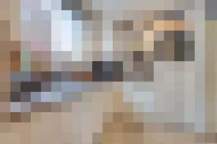 Berkenlaan 7 Neer thumbnail 10
