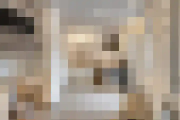 Berkenlaan 7 Neer thumbnail 11