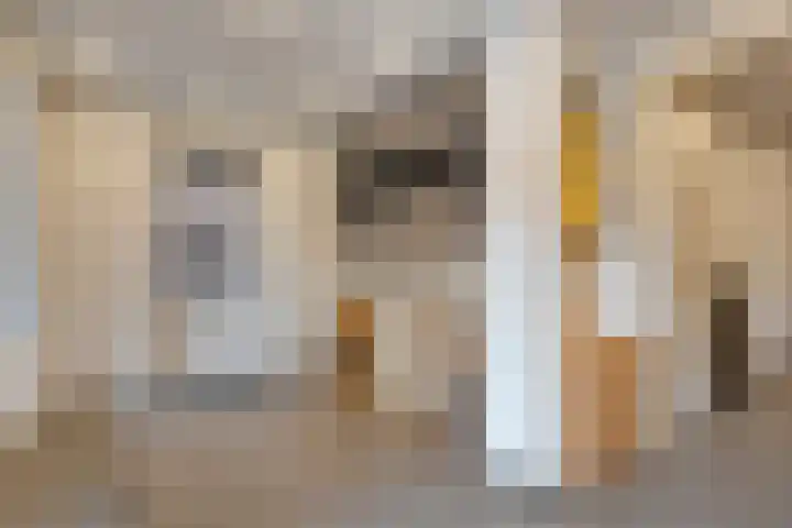 Berkenlaan 7 Neer thumbnail 12