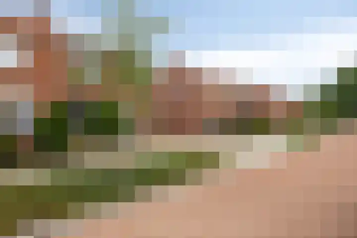 Berkenlaan 7 Neer foto 2