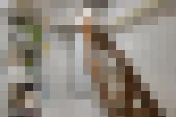 Berkenlaan 7 Neer thumbnail 23