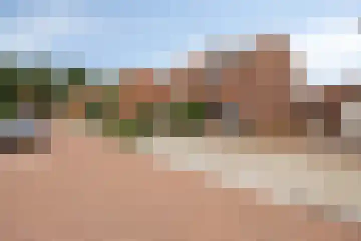 Berkenlaan 7 Neer foto 3