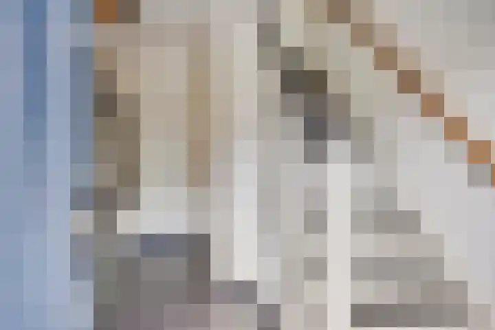 Berkenlaan 7 Neer thumbnail 4