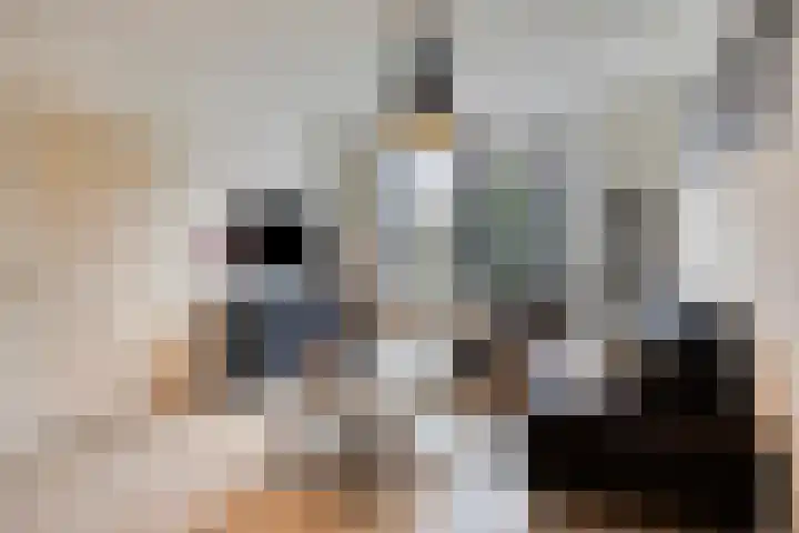 Berkenlaan 7 Neer thumbnail 6