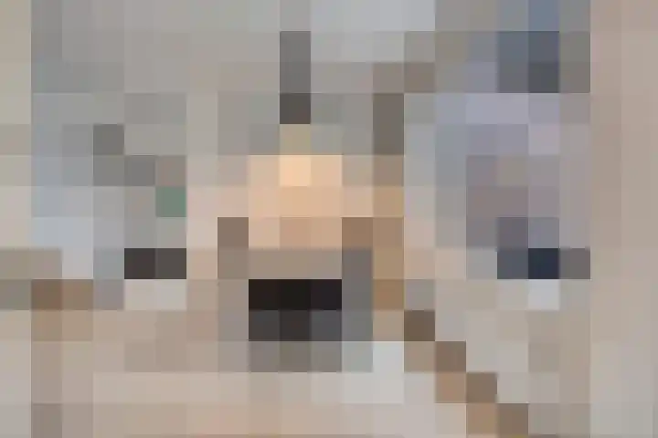 Berkenlaan 7 Neer thumbnail 8