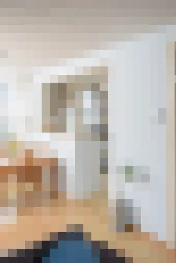 Berkenlaan 7 Oud-Alblas thumbnail 11