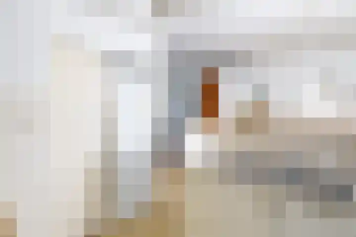Berkenlaan 7 Oud-Alblas thumbnail 12