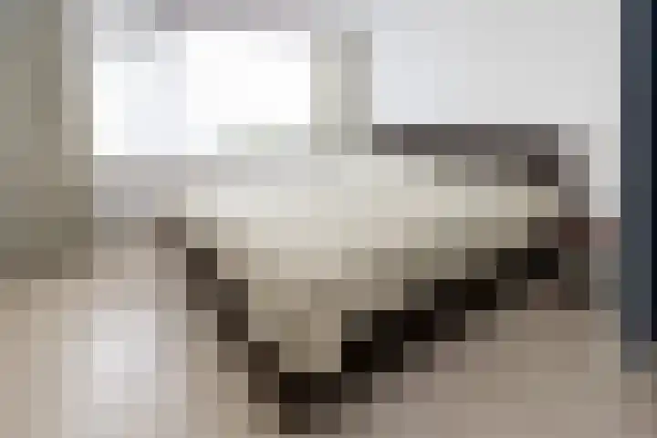 Berkenlaan 7 Oud-Alblas thumbnail 16