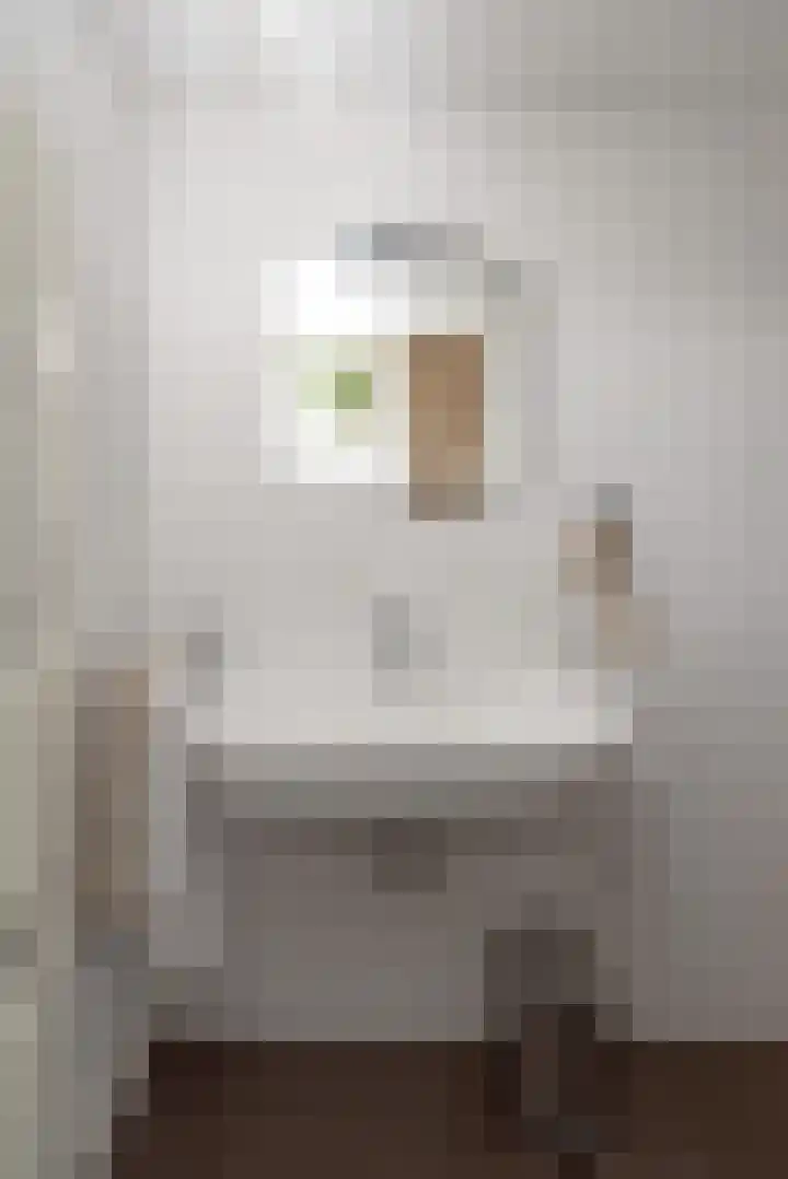 Berkenlaan 7 Oud-Alblas thumbnail 21