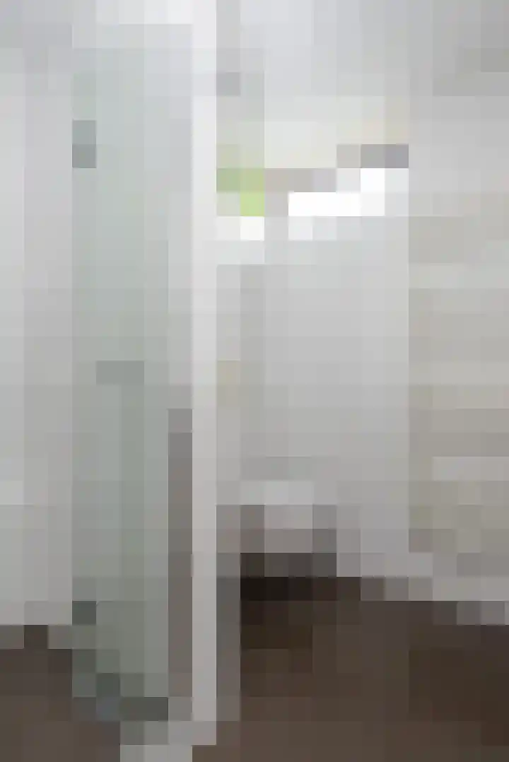 Berkenlaan 7 Oud-Alblas thumbnail 23