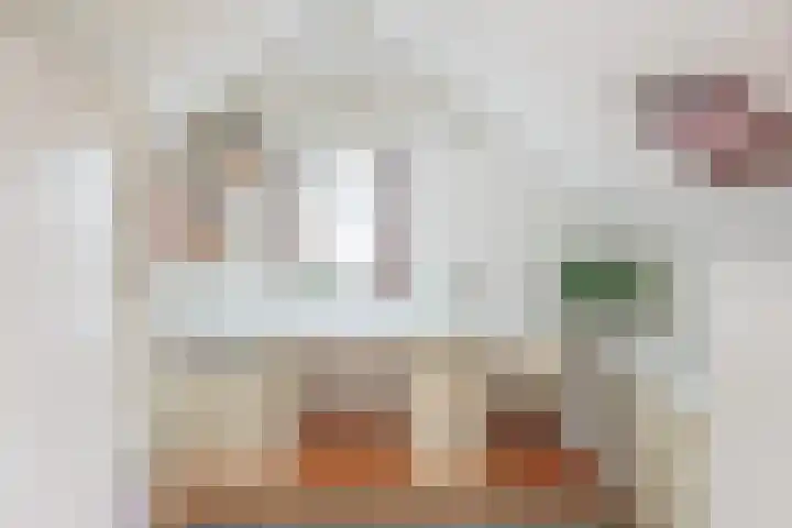 Berkenlaan 7 Oud-Alblas thumbnail 26