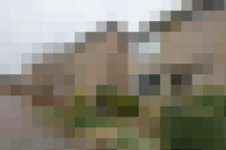 Berkenlaan 7 Oud-Alblas thumbnail 28