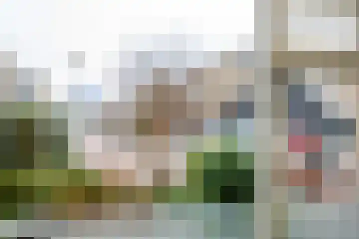 Berkenlaan 7 Oud-Alblas thumbnail 7