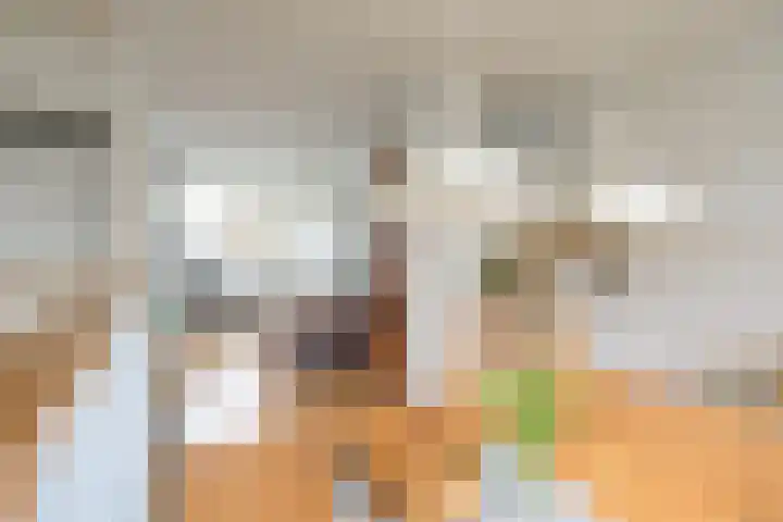 Berkenlaan 7 Oud-Alblas thumbnail 9