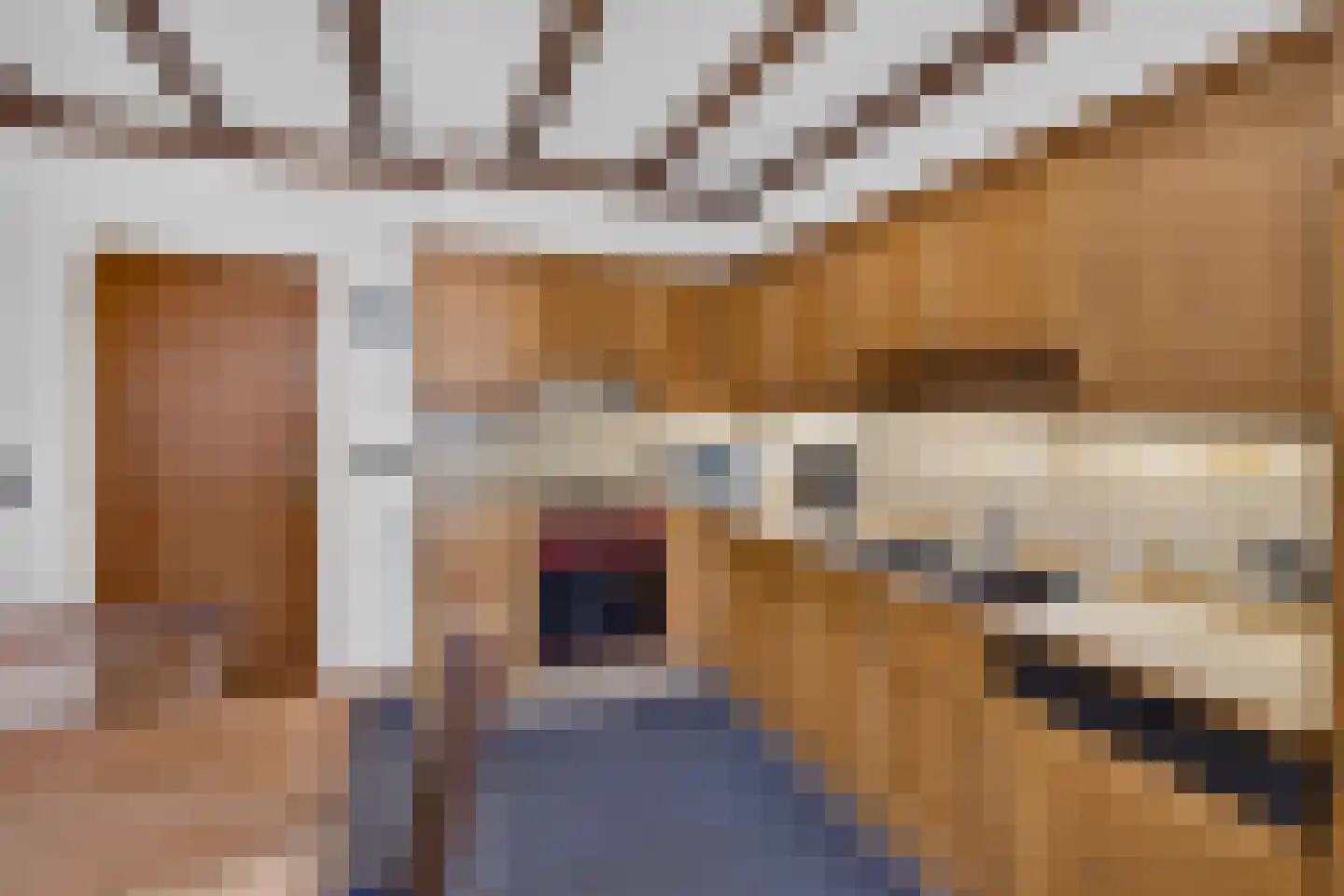Berkenlaan 7 Raalte thumbnail 16
