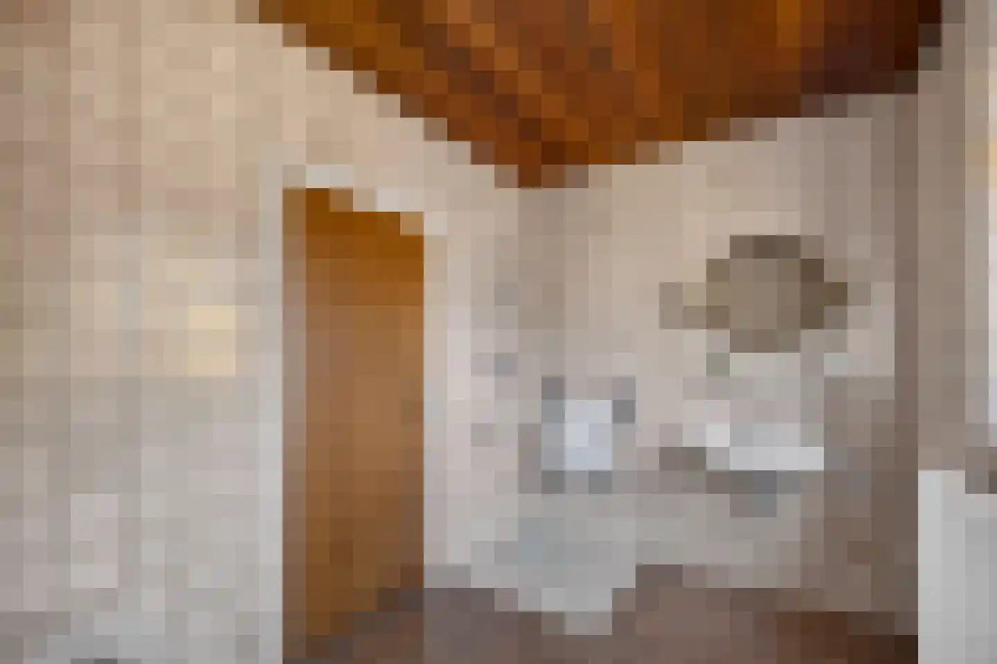 Berkenlaan 7 Raalte thumbnail 19