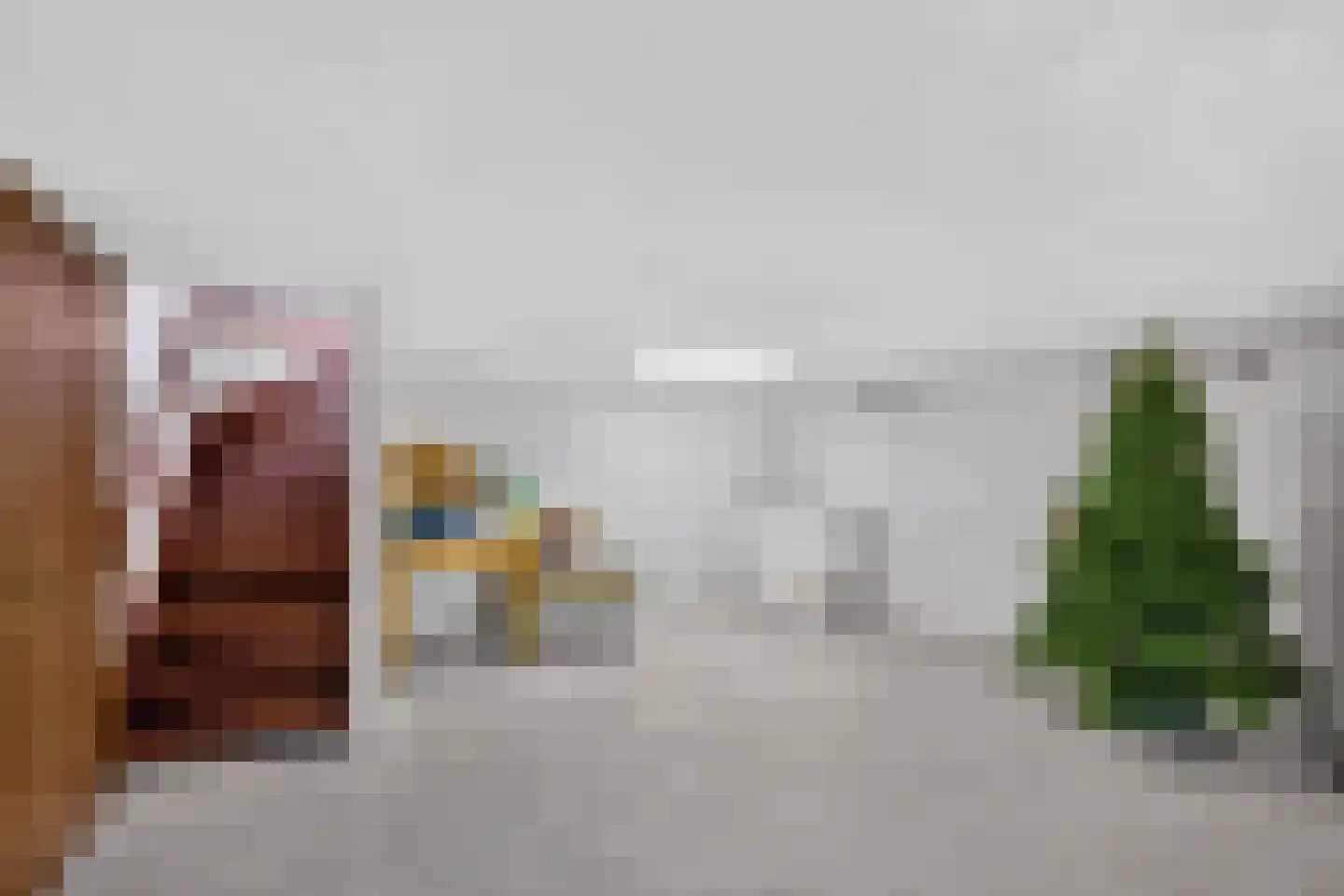 Berkenlaan 7 Raalte thumbnail 25