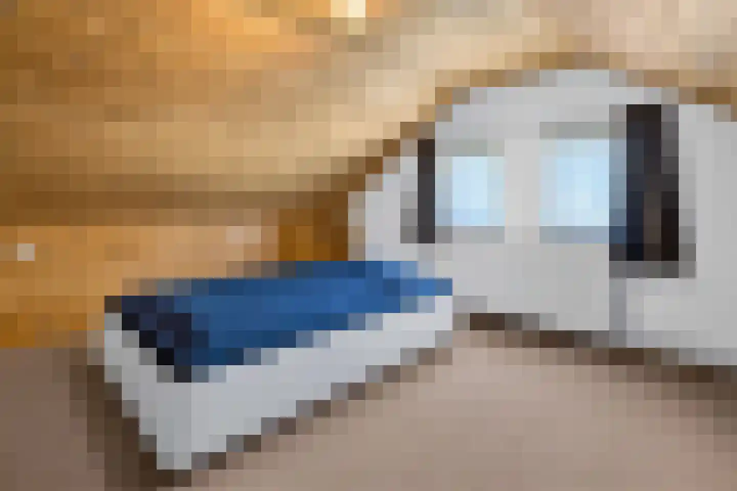 Berkenlaan 7 Raalte thumbnail 27