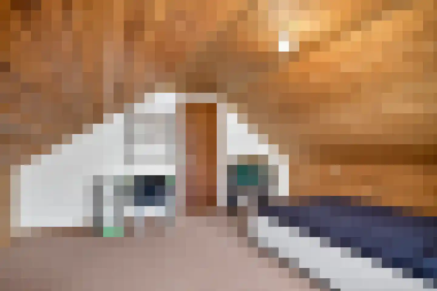 Berkenlaan 7 Raalte thumbnail 28