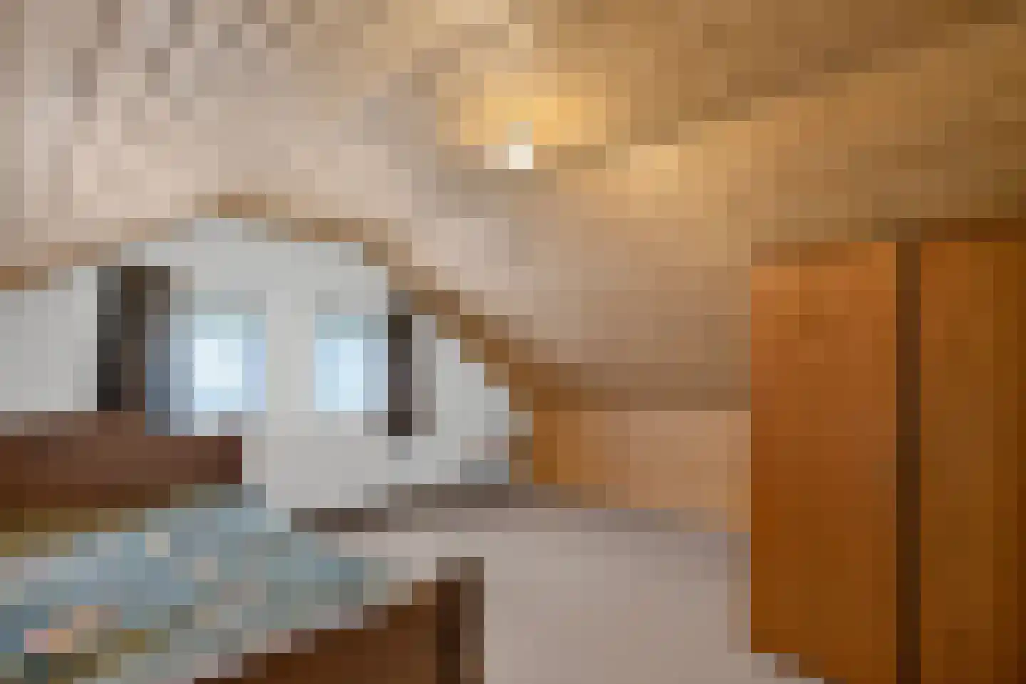Berkenlaan 7 Raalte thumbnail 30