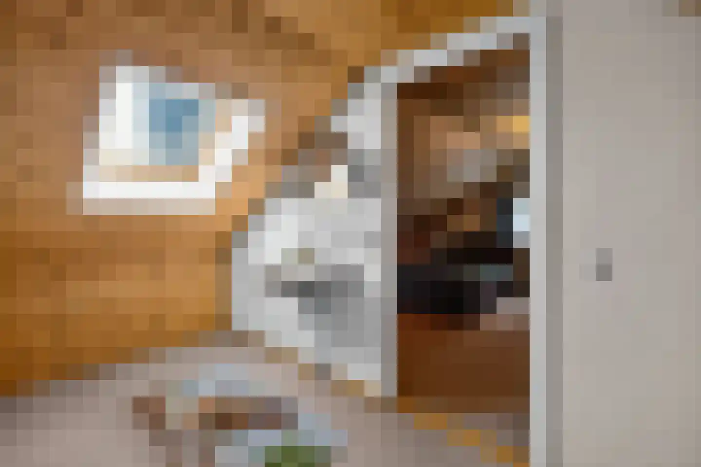 Berkenlaan 7 Raalte thumbnail 31