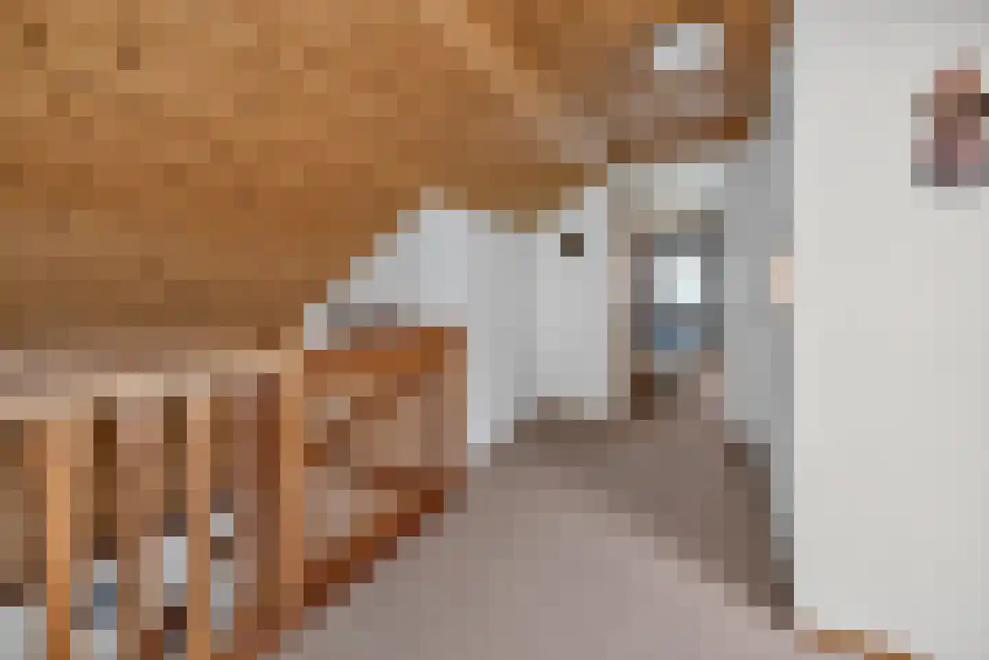 Berkenlaan 7 Raalte thumbnail 32