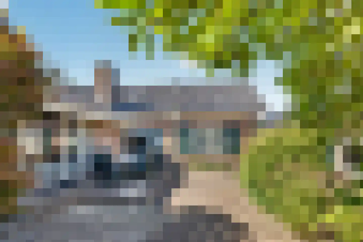 Berkenlaan 7 Raalte thumbnail 35