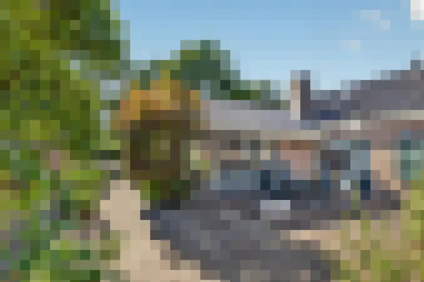 Berkenlaan 7 Raalte thumbnail 37