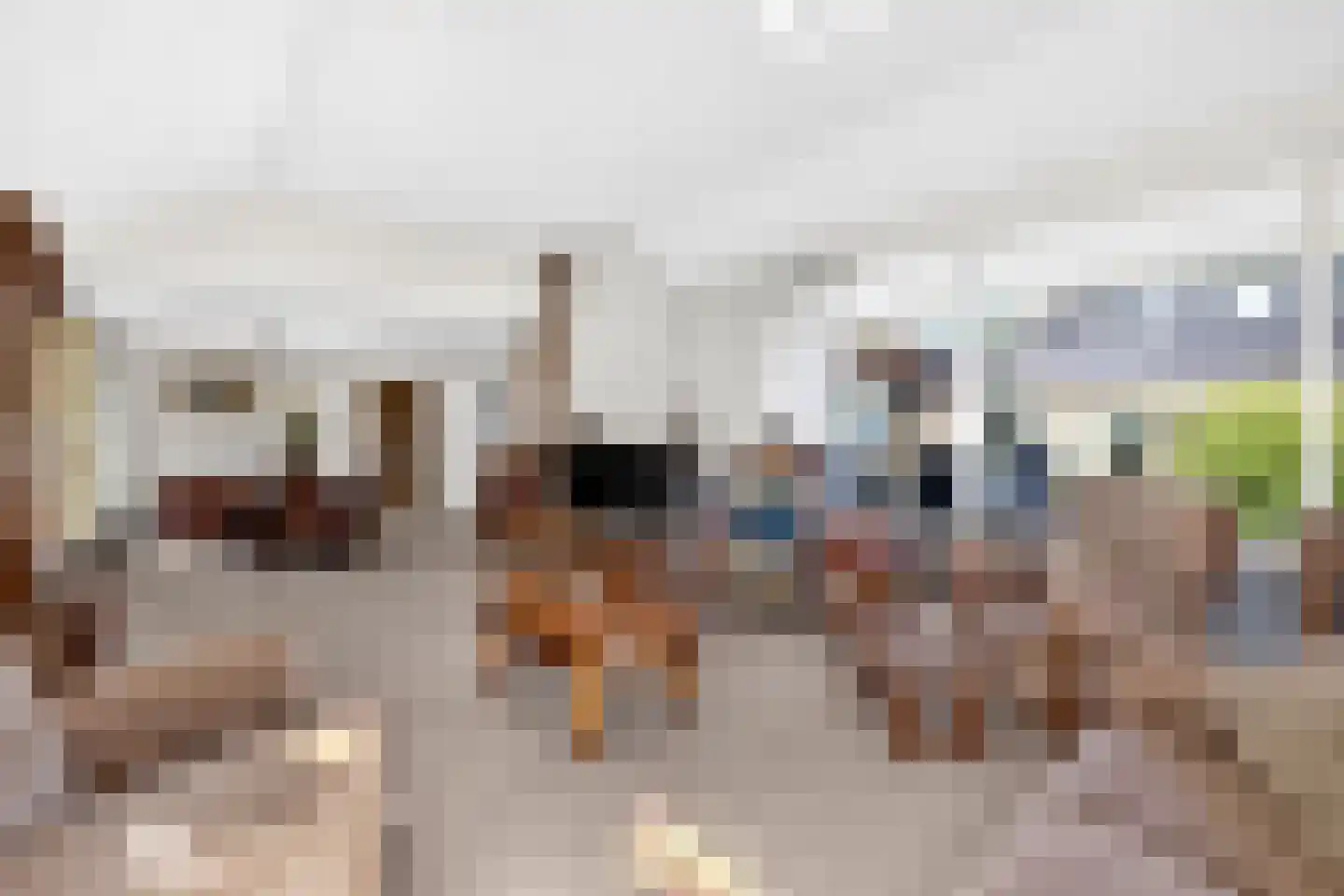 Berkenlaan 7 Raalte thumbnail 8