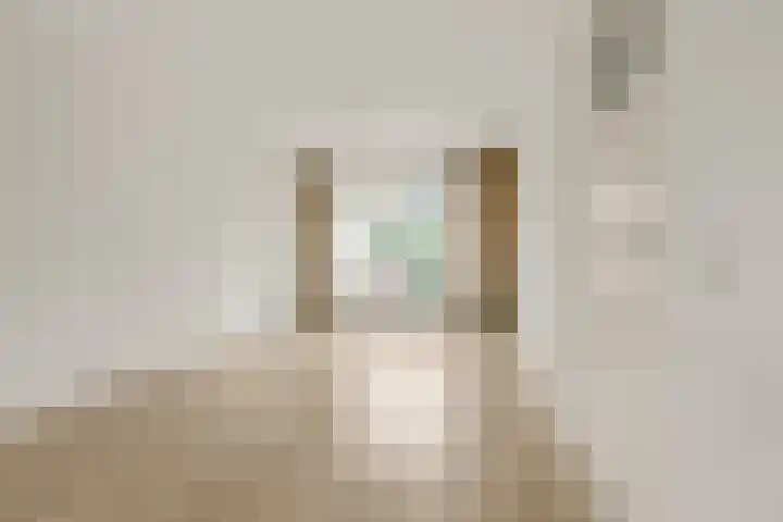 Berkenlaan 7 Sassenheim thumbnail 10